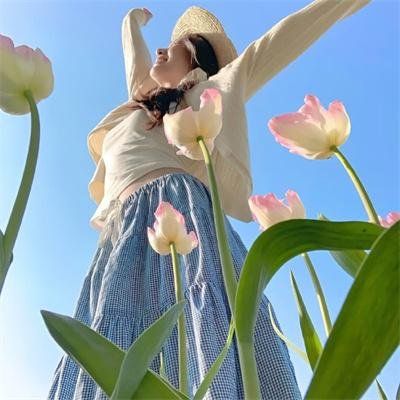 木屋电影电影海报